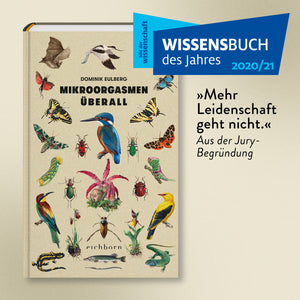 Mikroorgasmen überall - Bild 15