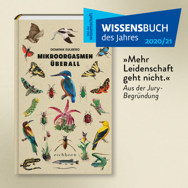 Mikroorgasmen überall - Bild 15