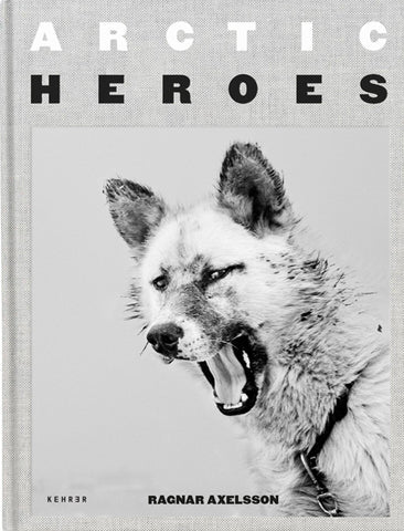 Arctic Heroes - Bild 1