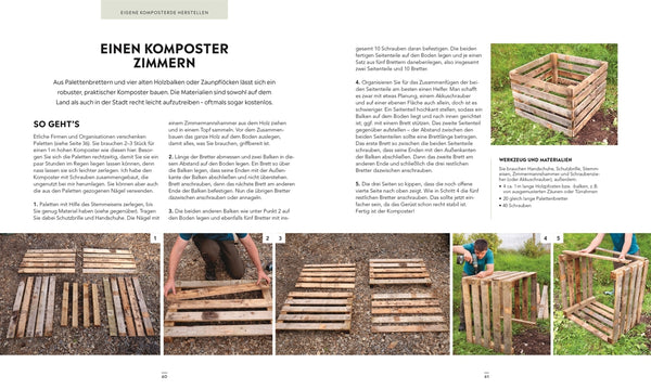 Frische Ernte zum kleinen Preis - Bild 5