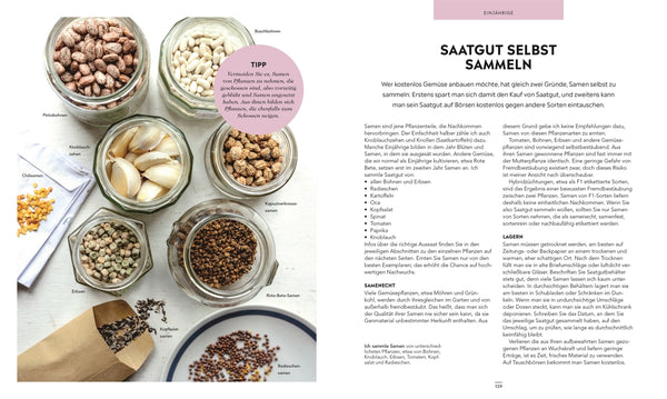 Frische Ernte zum kleinen Preis - Bild 7