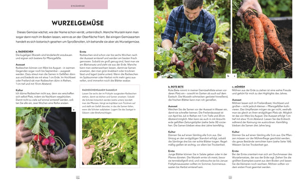 Frische Ernte zum kleinen Preis - Bild 8