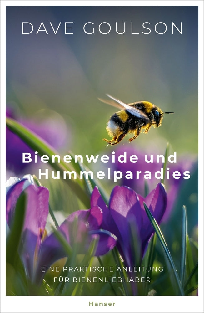 Bienenweide und Hummelparadies - Bild 1