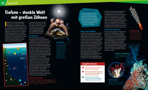 WAS IST WAS Band 143 Ozeane - Bild 3