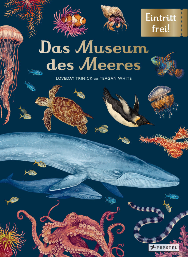Das Museum des Meeres - Bild 1