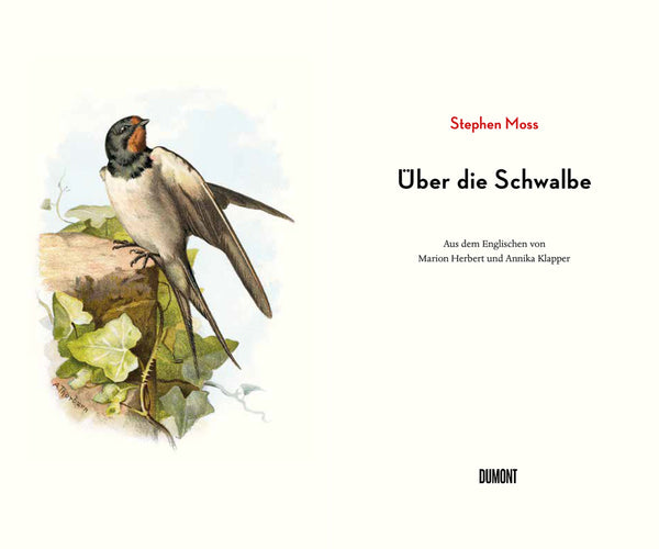 Über die Schwalbe - Bild 2