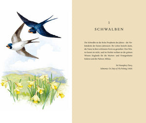 Über die Schwalbe - Bild 4