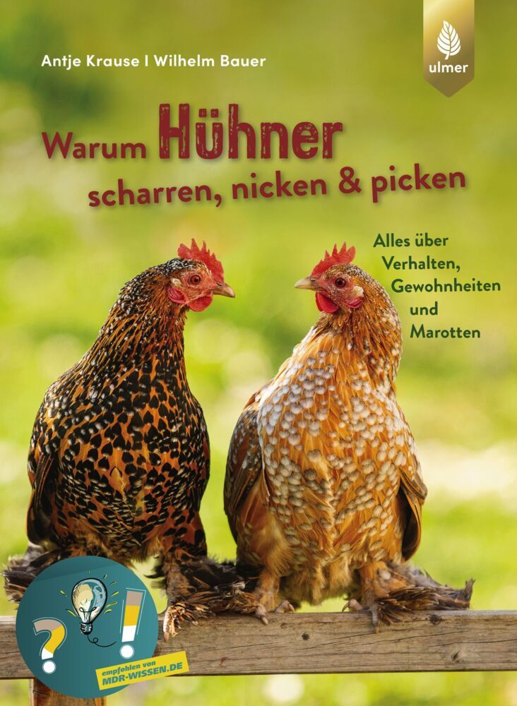 Warum Hühner scharren, nicken & picken - Bild 1