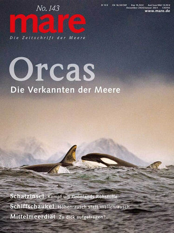 Orcas - Bild 1