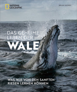 Das geheime Leben der Wale - Bild 1