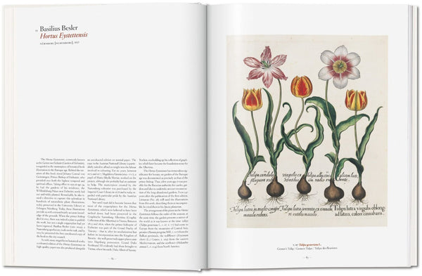 A Garden Eden. Masterpieces of Botanical Illustration - Bild 3