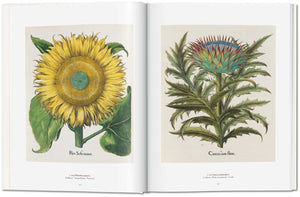 A Garden Eden. Masterpieces of Botanical Illustration - Bild 4