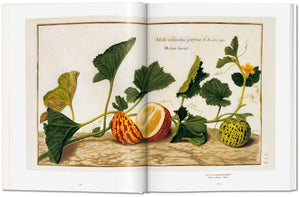 A Garden Eden. Masterpieces of Botanical Illustration - Bild 5