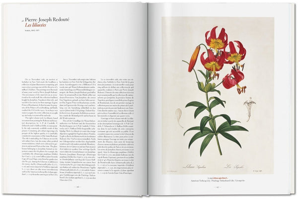 A Garden Eden. Masterpieces of Botanical Illustration - Bild 6