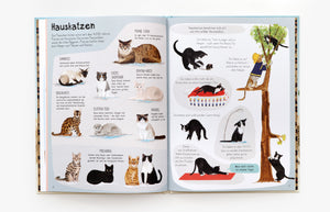 Das Katzen-Buch - Bild 6