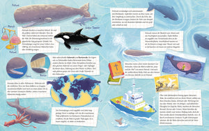 Der kleine Wal - Zu Hause im Ozean - Bild 4