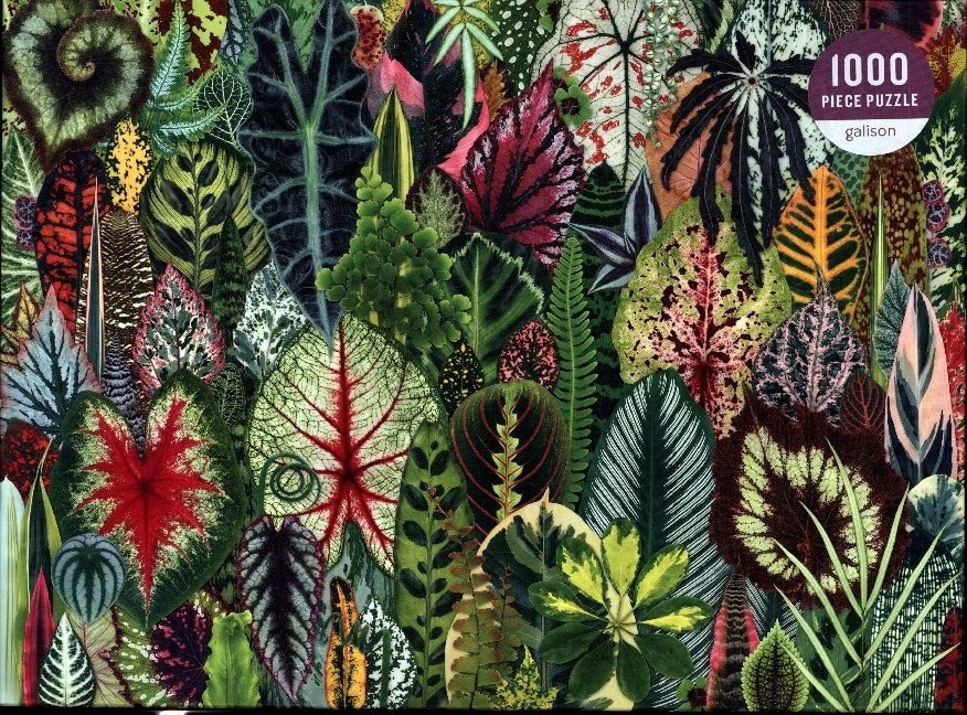 Houseplant Jungle 1000 Piece Puzzle - Bild 1