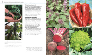 Gemüse für jeden Garten - Bild 3