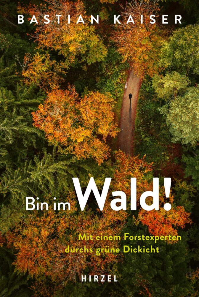 Bin im Wald! - Bild 1