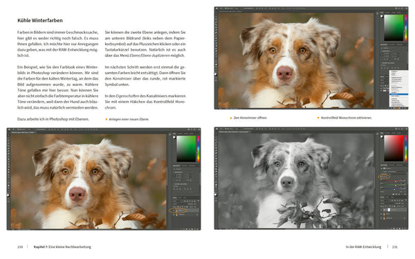 Hunde fotografieren - Kreative Bilder mit "Wau-Effekt" - Bild 7