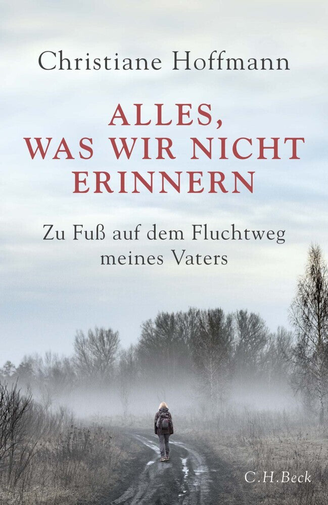 Alles, was wir nicht erinnern - Bild 1