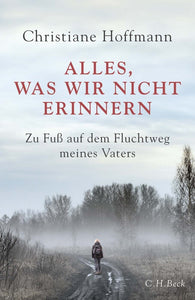 Alles, was wir nicht erinnern - Bild 1