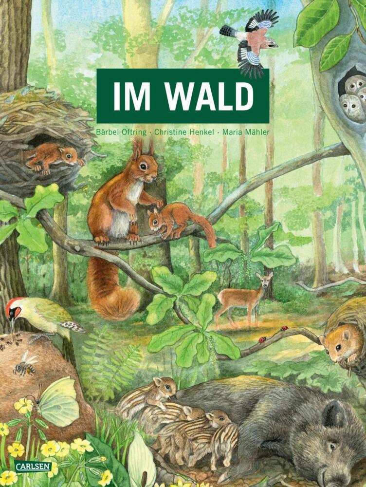 Im Wald - Bild 1