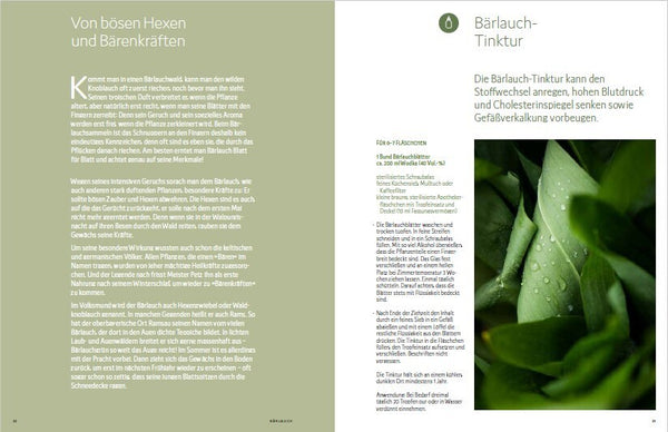 Wildkräuter vor deiner Haustür - Silbermedaille GAD 2022 - Deutscher Kochbuchpreis (bronze) - Bild 5