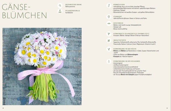 Wildkräuter vor deiner Haustür - Silbermedaille GAD 2022 - Deutscher Kochbuchpreis (bronze) - Bild 7
