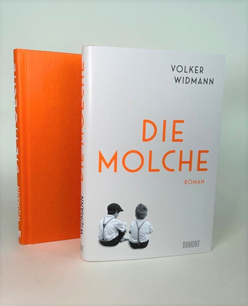 Die Molche - Bild 2