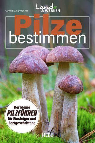 Pilze bestimmen - Der kleine Pilzführer für Einsteiger und Fortgeschrittene - Bild 1