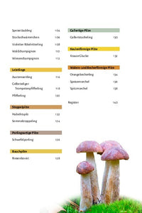 Pilze bestimmen - Der kleine Pilzführer für Einsteiger und Fortgeschrittene - Bild 3