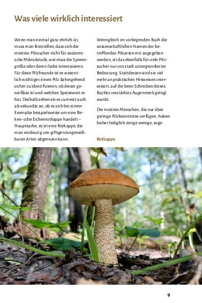 Pilze bestimmen - Der kleine Pilzführer für Einsteiger und Fortgeschrittene - Bild 4