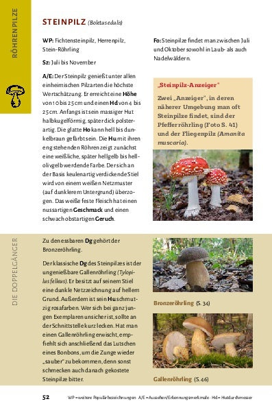 Pilze bestimmen - Der kleine Pilzführer für Einsteiger und Fortgeschrittene - Bild 10