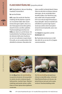 Pilze bestimmen - Der kleine Pilzführer für Einsteiger und Fortgeschrittene - Bild 12