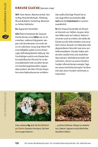 Pilze bestimmen - Der kleine Pilzführer für Einsteiger und Fortgeschrittene - Bild 13