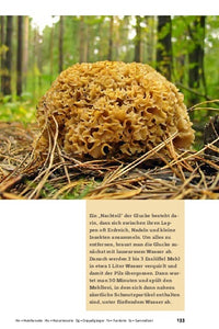 Pilze bestimmen - Der kleine Pilzführer für Einsteiger und Fortgeschrittene - Bild 14