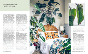Welcome to the jungle - Bild 2