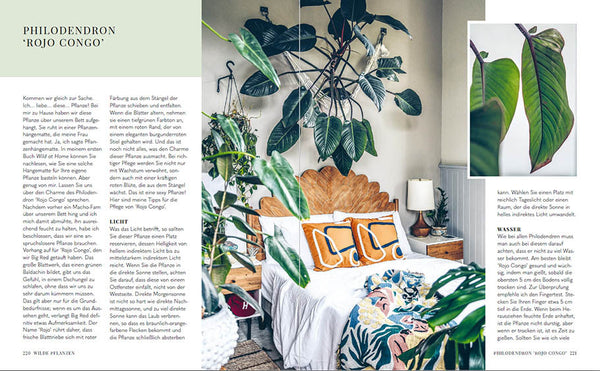 Welcome to the jungle - Bild 2