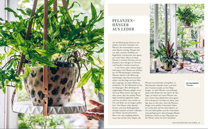 Welcome to the jungle - Bild 3
