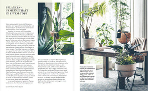 Welcome to the jungle - Bild 8