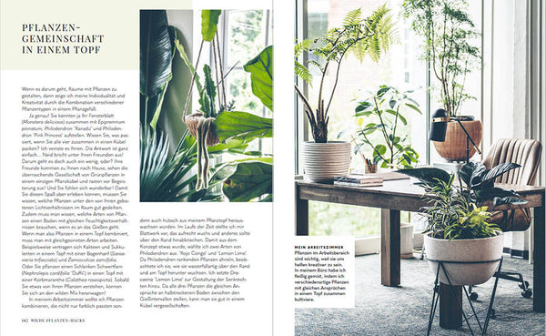Welcome to the jungle - Bild 8