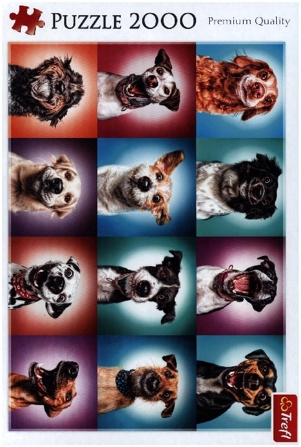 Lustige Hunde Porträts (Puzzle) - Bild 1