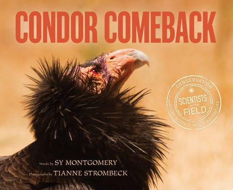 Condor Comeback - Bild 1