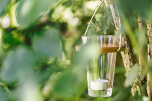 Ein Glas-Licht-Eimer mit Teelicht hängt von einem Ast im Garten und taucht die grünen Blätter in stimmungsvolle Atmosphäre.